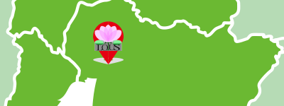 ロウタス法律事務所名古屋